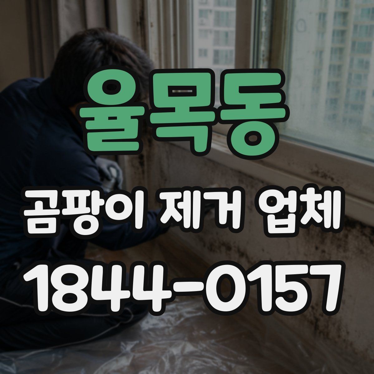 율목동 곰팡이 제거 업체 제거 뒤 잔여물과 냄새까지 확인하는 순서