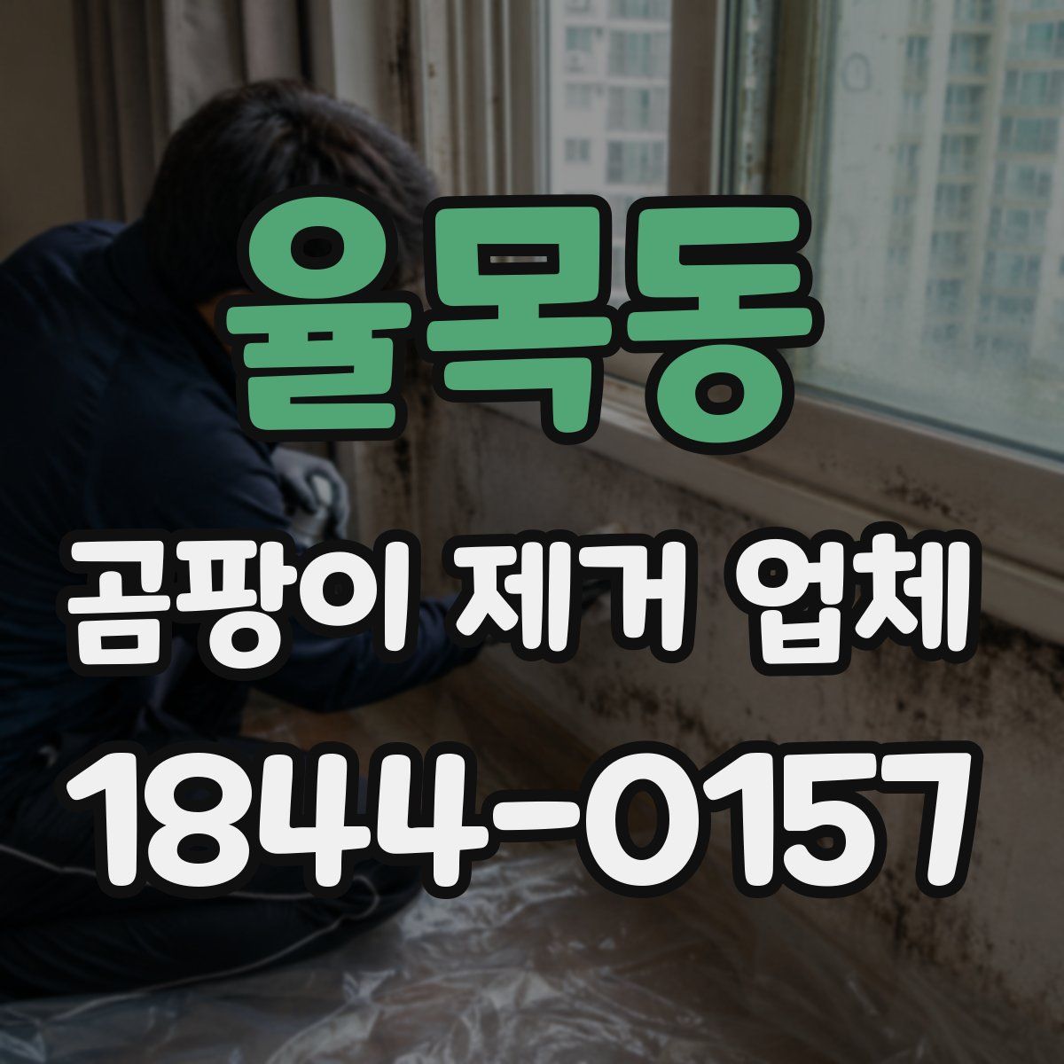 율목동 곰팡이 제거 업체