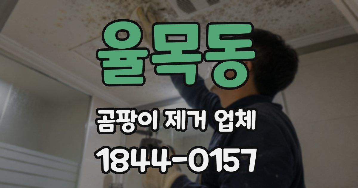 율목동 곰팡이 제거 업체