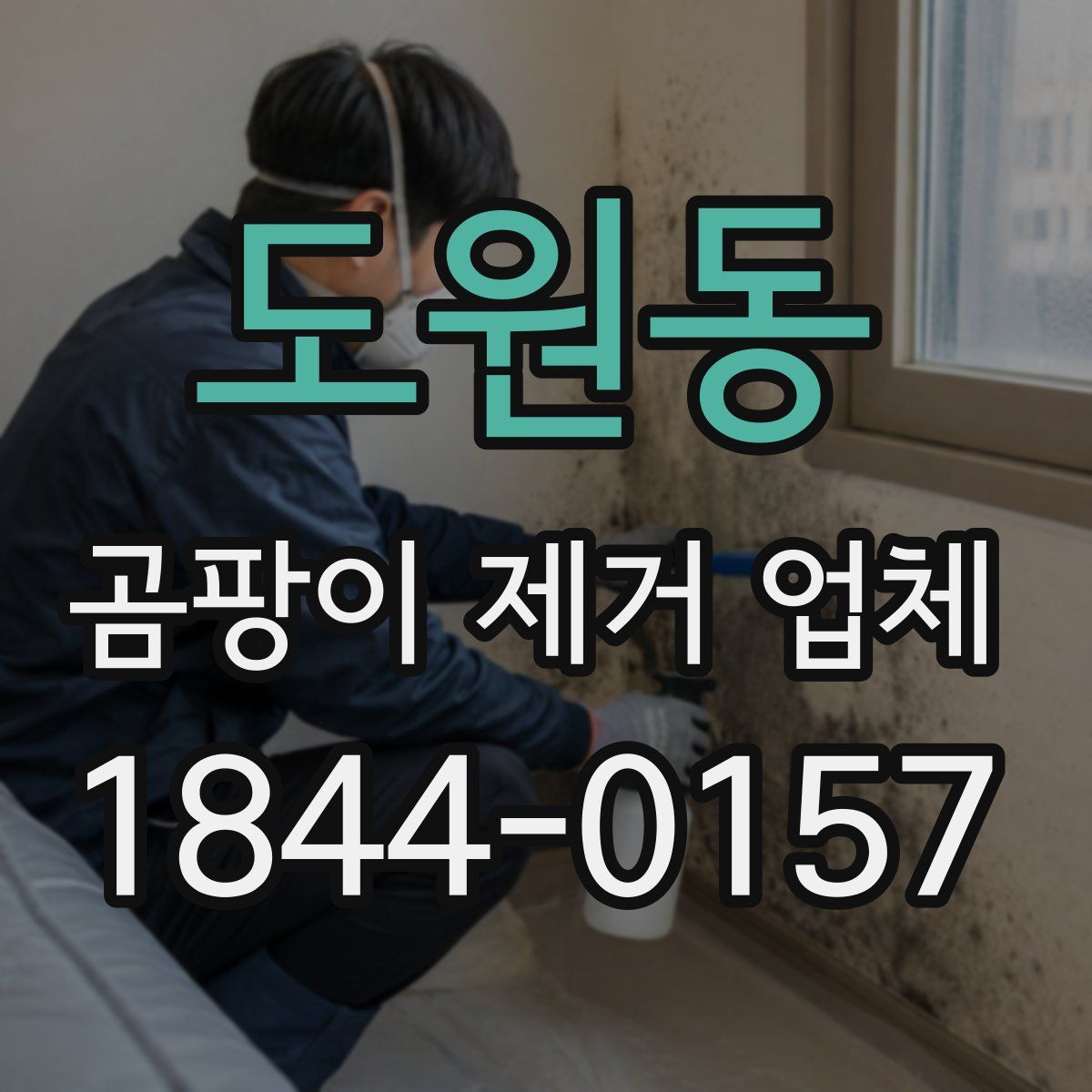 도원동 곰팡이 제거 업체