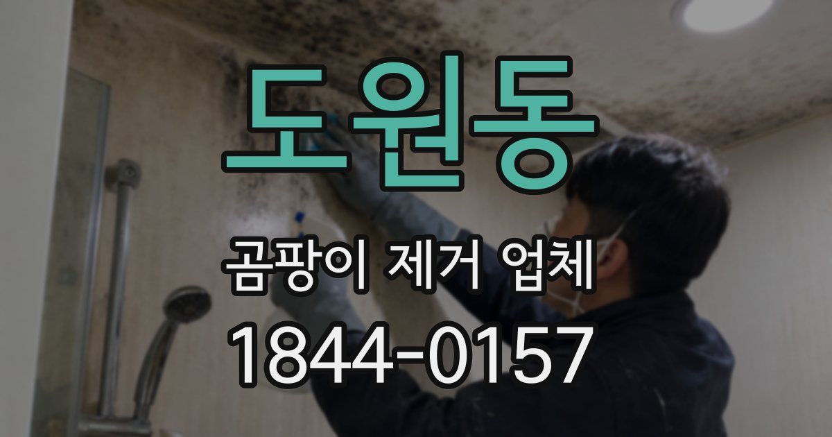 도원동 곰팡이 제거 업체