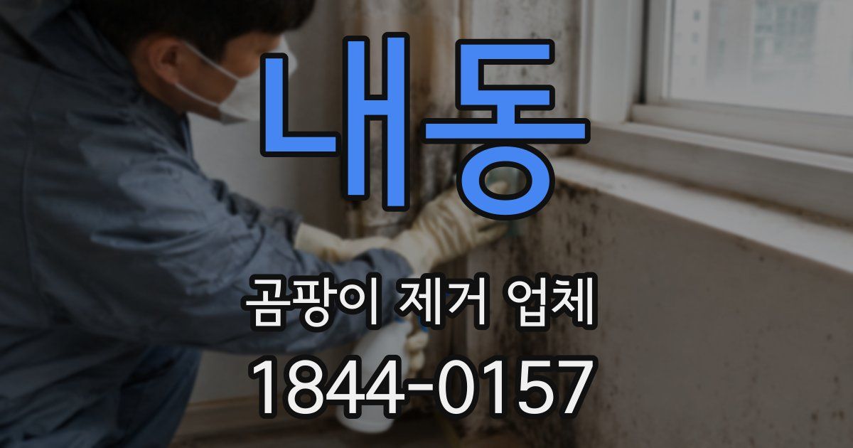 내동 곰팡이 제거 업체