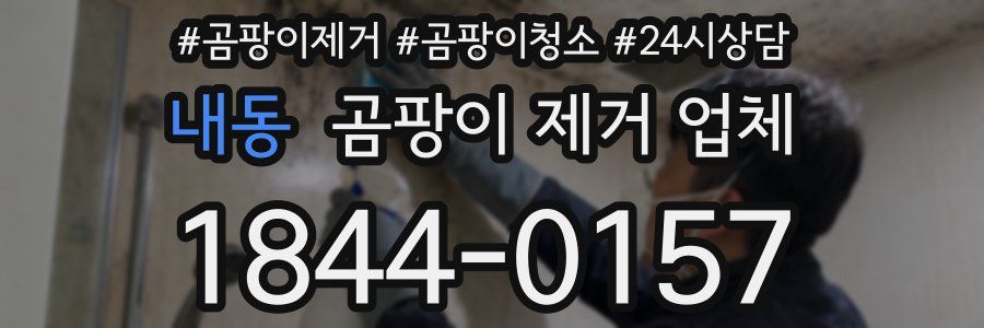 내동 곰팡이 제거 업체