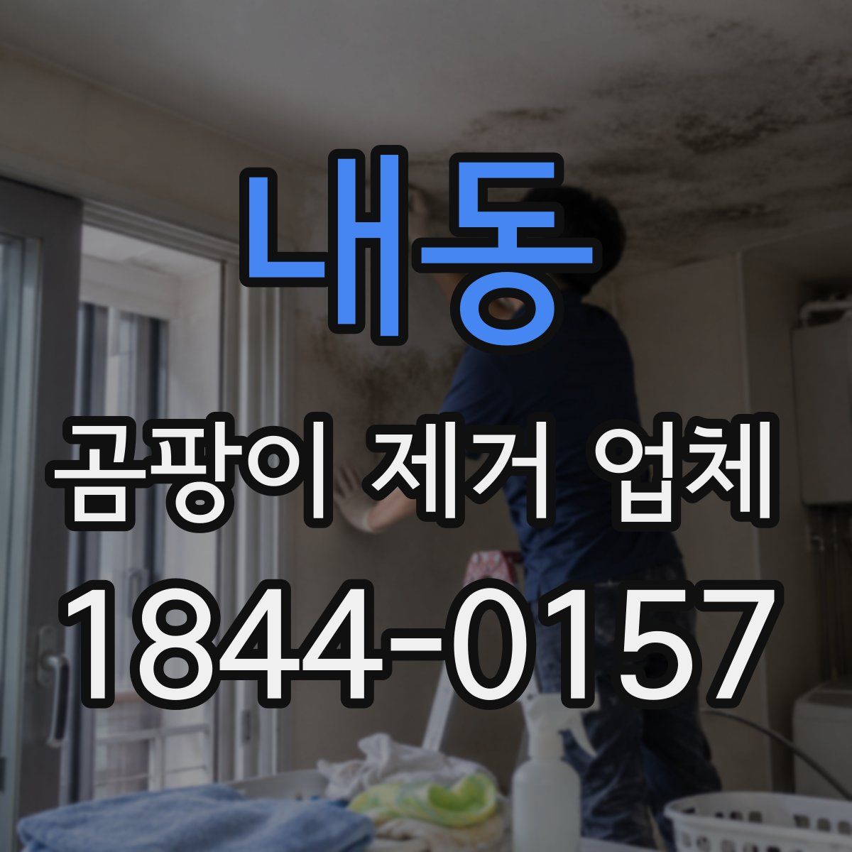 내동 곰팡이 제거 업체