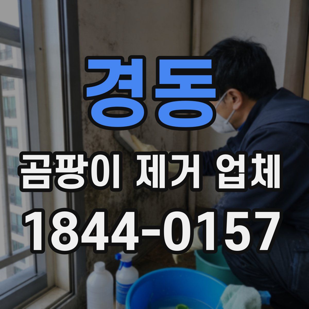 경동 곰팡이 제거 업체