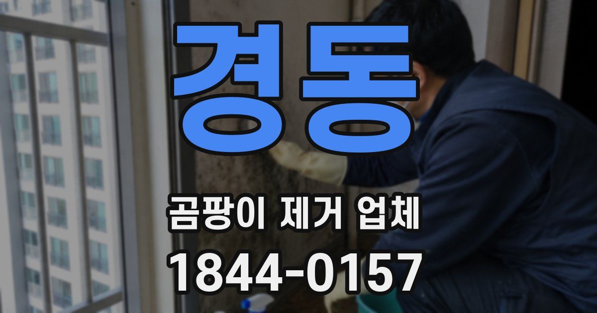 경동 곰팡이 제거 업체