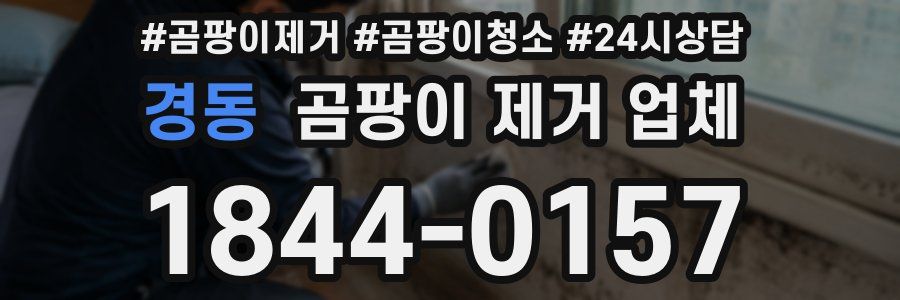 경동 곰팡이 제거 업체
