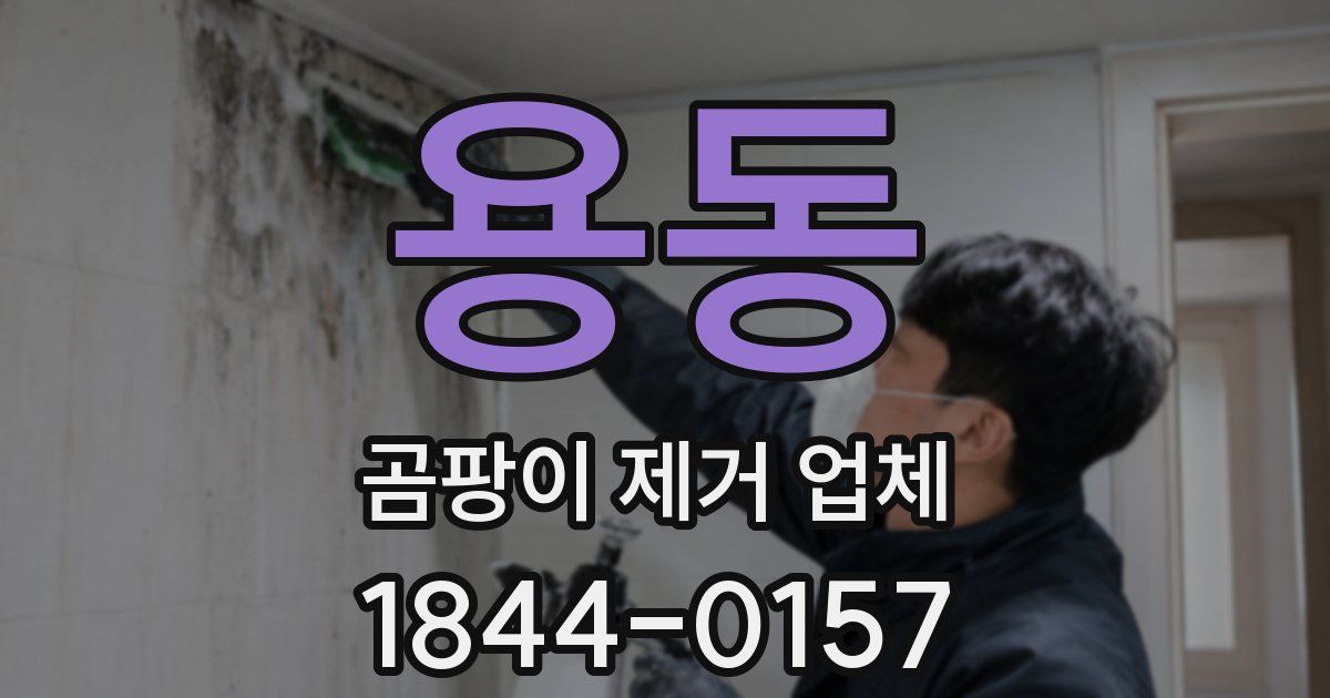 용동 곰팡이 제거 업체