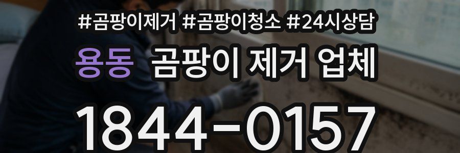 용동 곰팡이 제거 업체