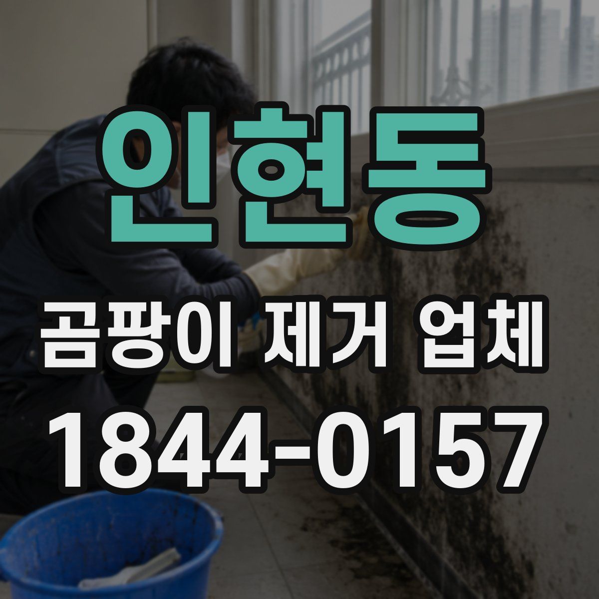 인현동 곰팡이 제거 업체
