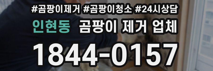 인현동 곰팡이 제거 업체