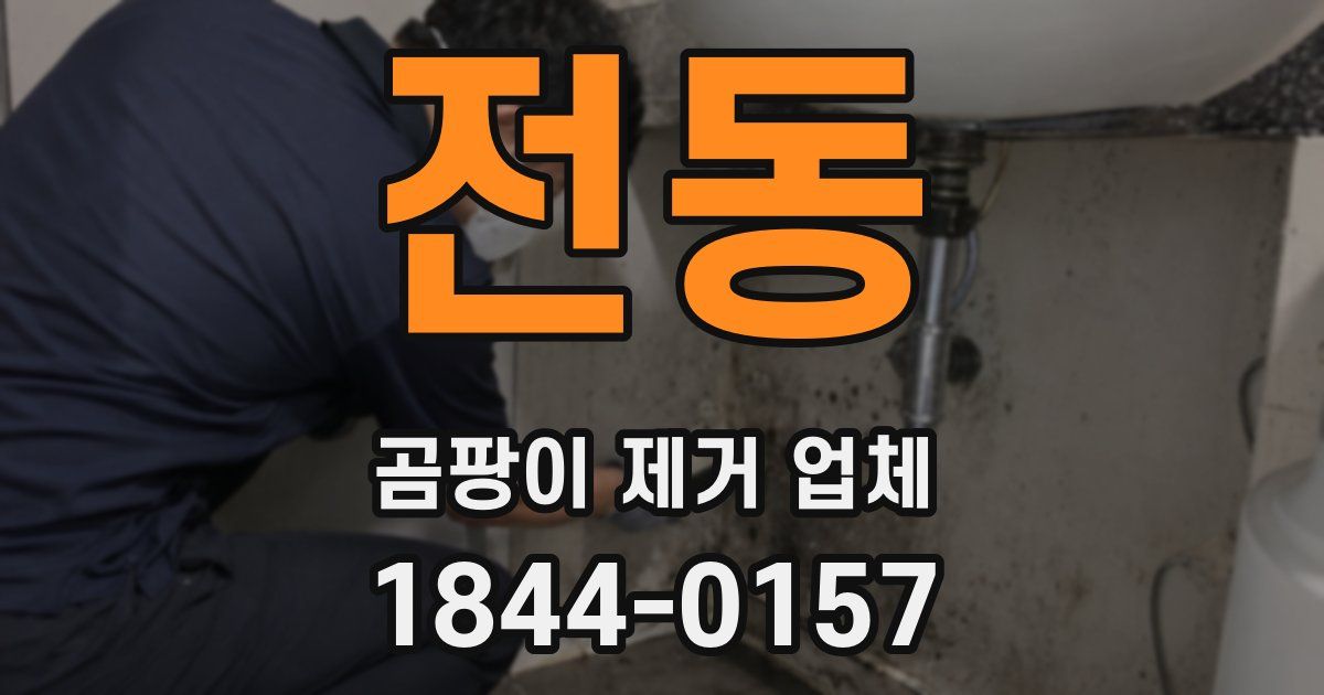 전동 곰팡이 제거 업체
