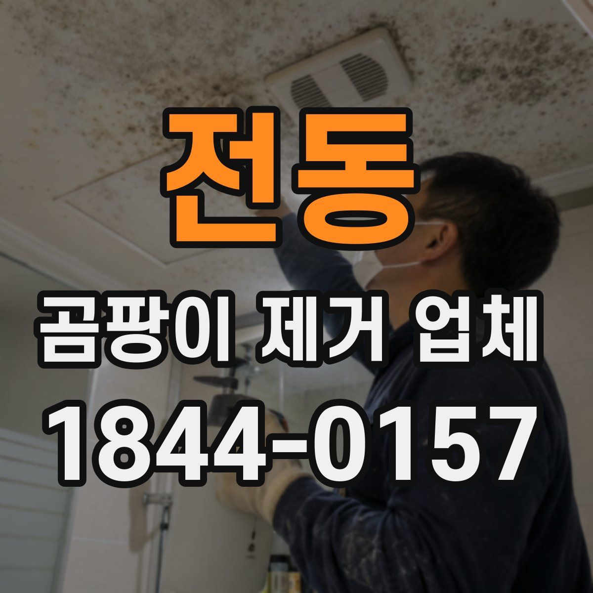 전동 곰팡이 제거 업체
