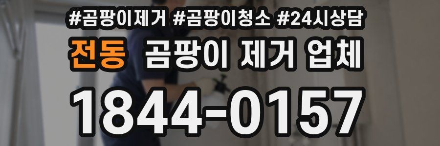 전동 곰팡이 제거 업체