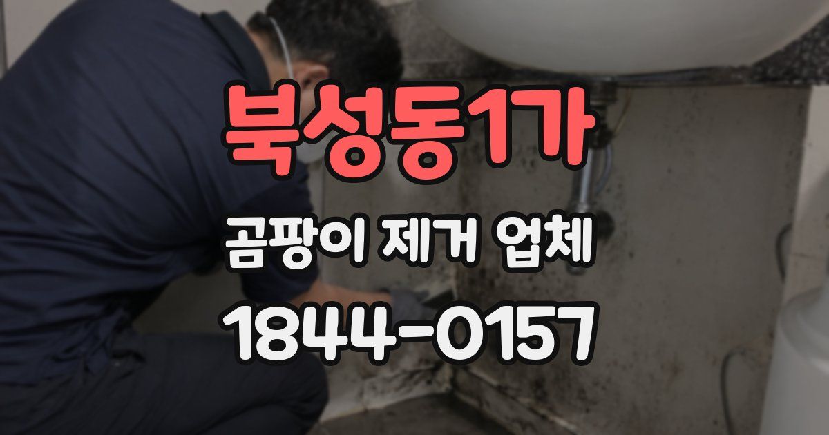 북성동1가 곰팡이 제거 업체