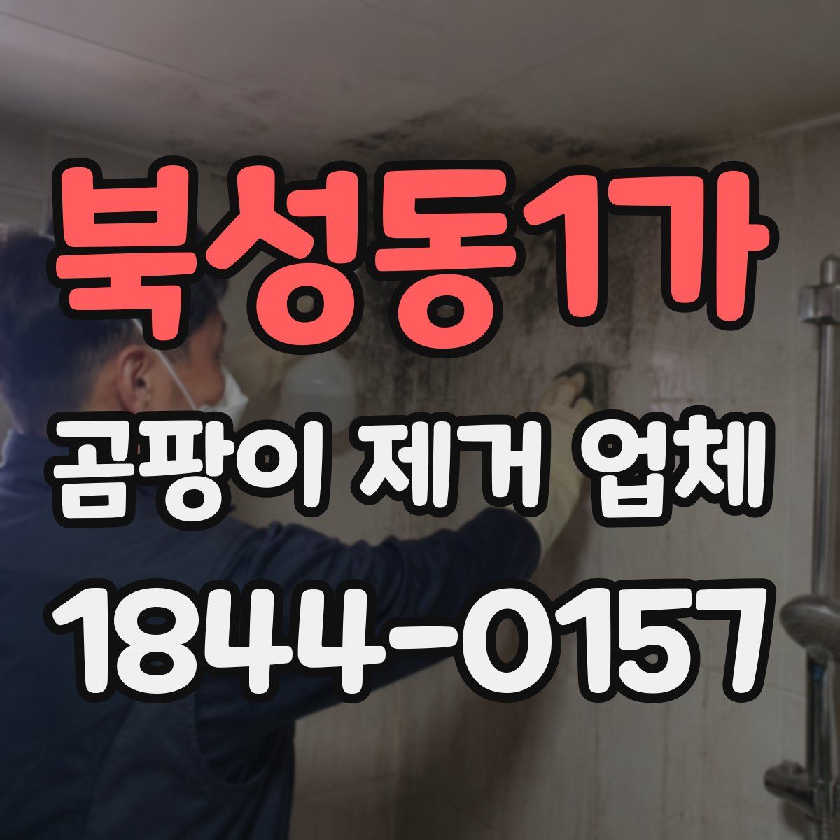북성동1가 곰팡이 제거 업체