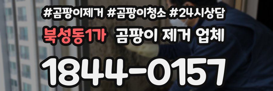 북성동1가 곰팡이 제거 업체