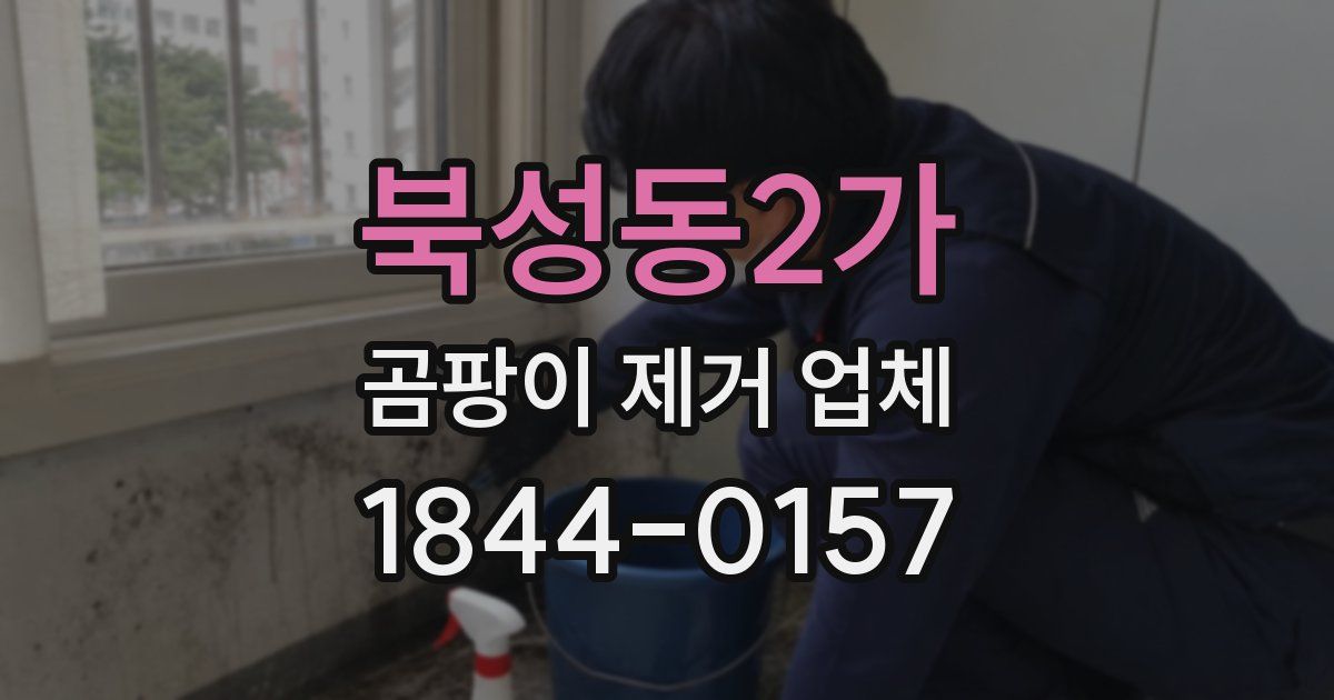 북성동2가 곰팡이 제거 업체