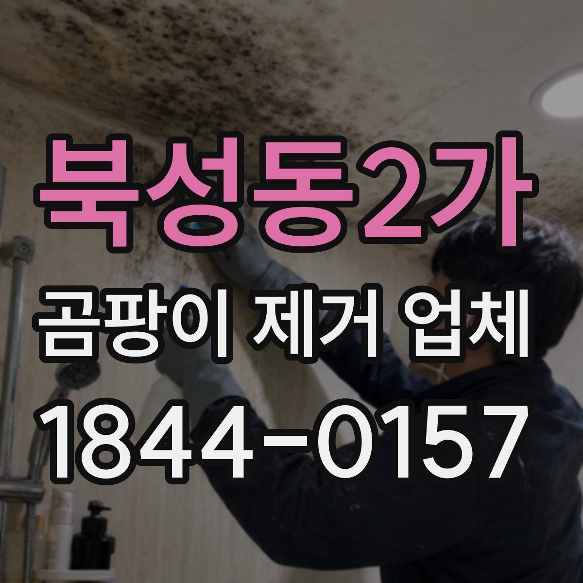 북성동2가 곰팡이 제거 업체