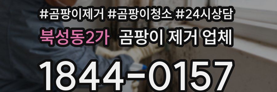 북성동2가 곰팡이 제거 업체