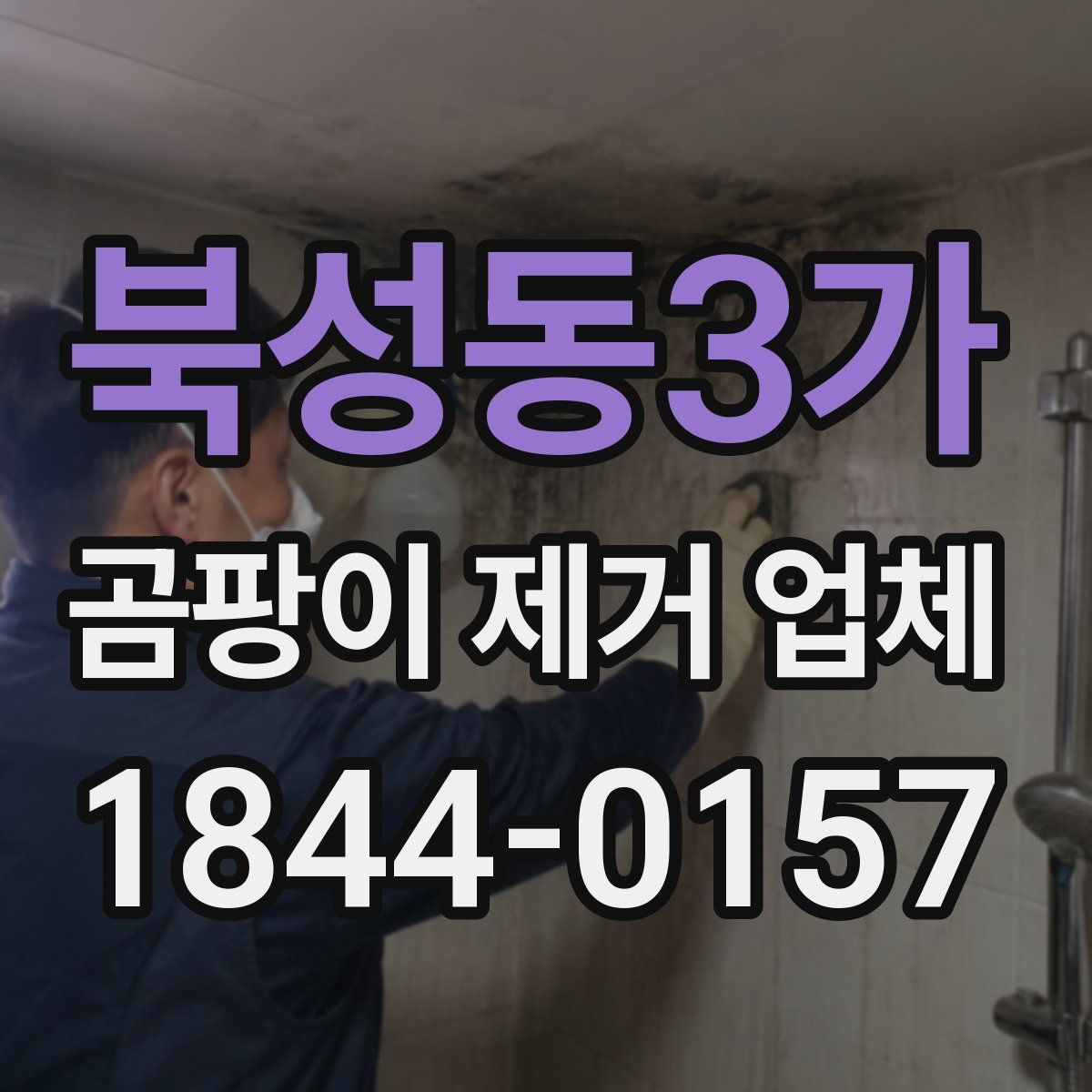 북성동3가 곰팡이 제거 업체