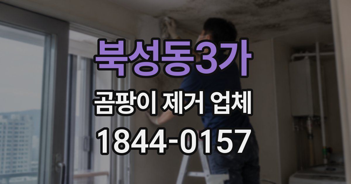 북성동3가 곰팡이 제거 업체