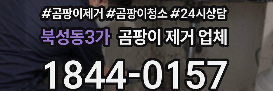 북성동3가 곰팡이 제거 업체