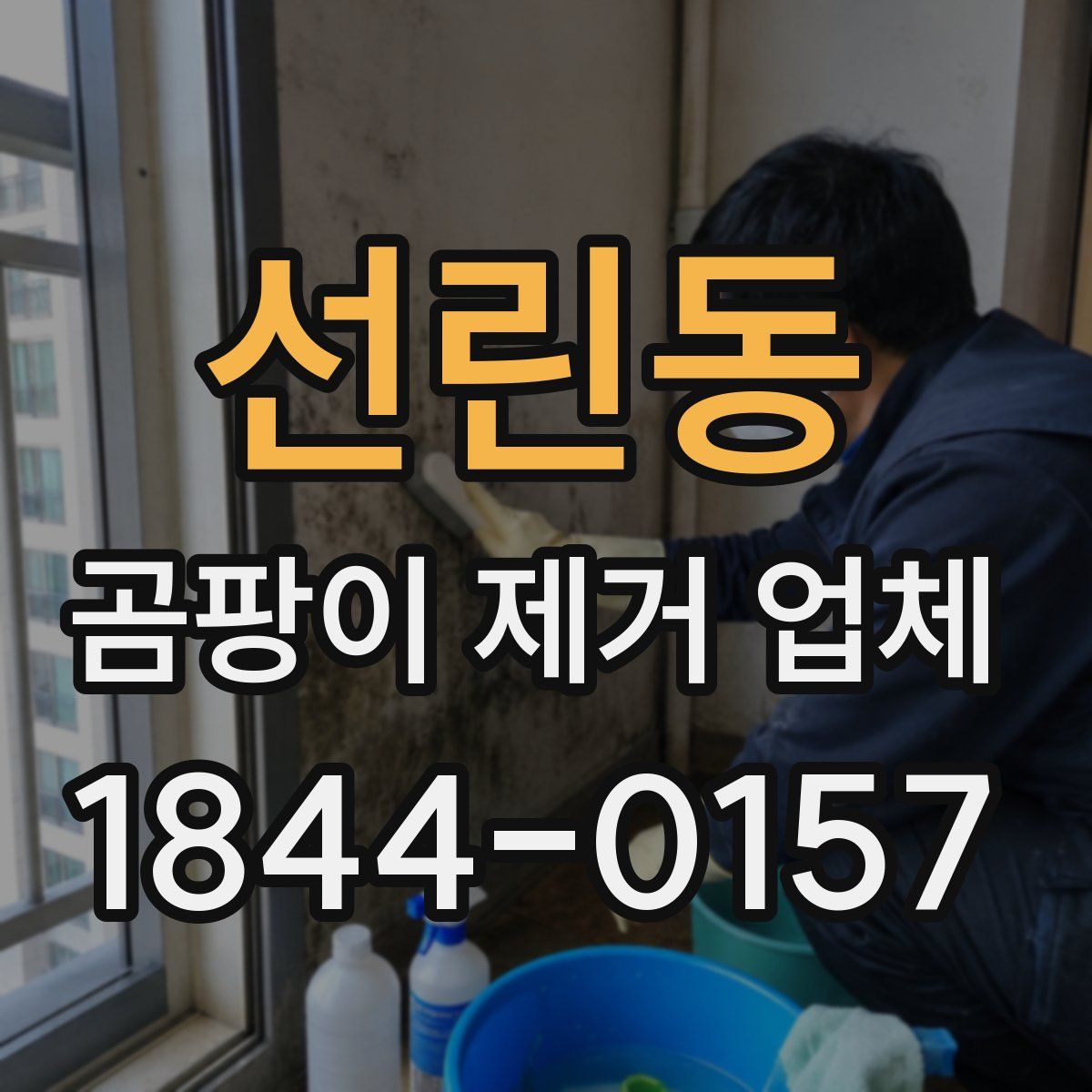 선린동 곰팡이 제거 업체
