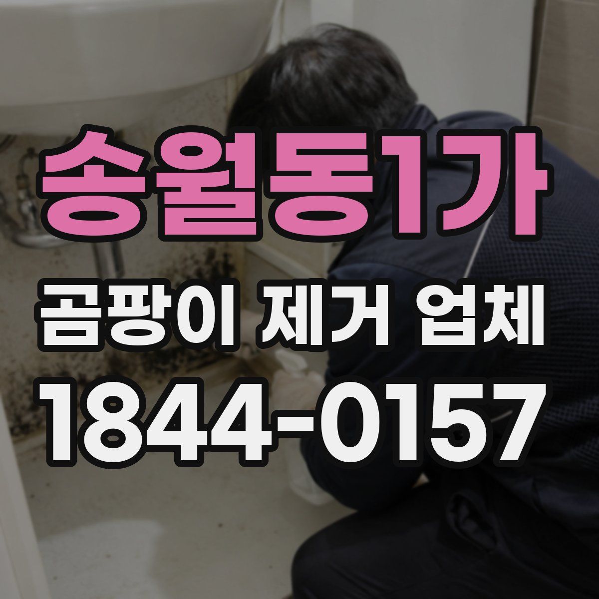 송월동1가 곰팡이 제거 업체