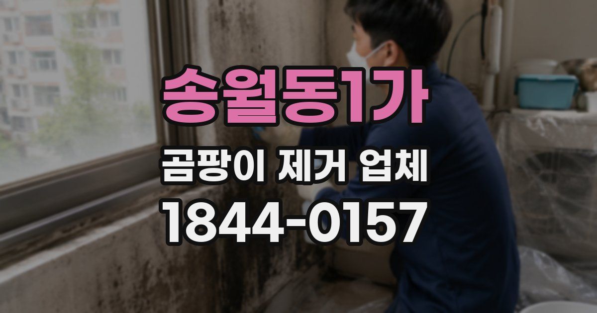 송월동1가 곰팡이 제거 업체