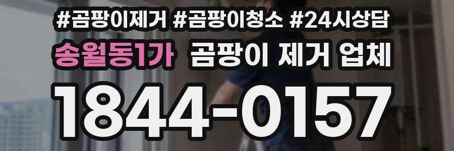 송월동1가 곰팡이 제거 업체