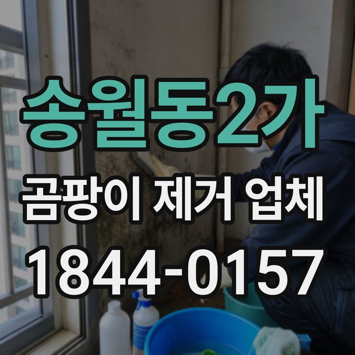 송월동2가 곰팡이 제거 업체 반지하 주택에서 반복되는 냄새 원인 살피기