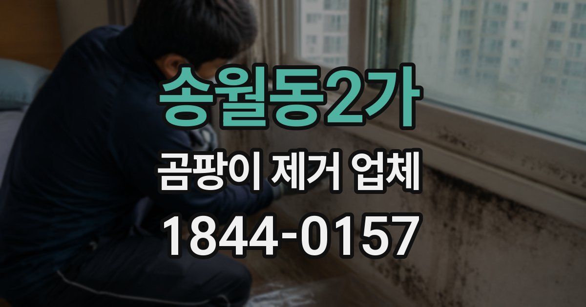 송월동2가 곰팡이 제거 업체