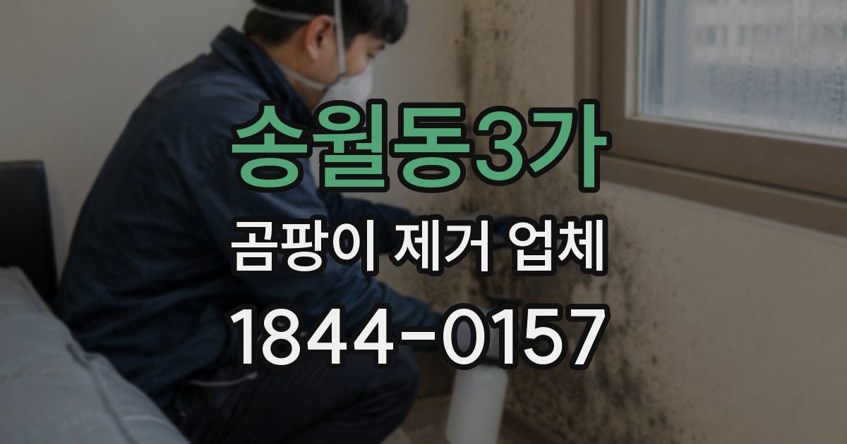송월동3가 곰팡이 제거 업체