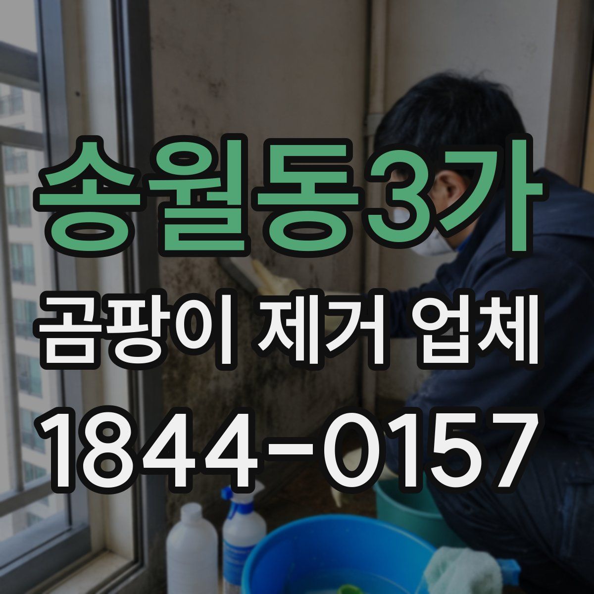 송월동3가 곰팡이 제거 업체