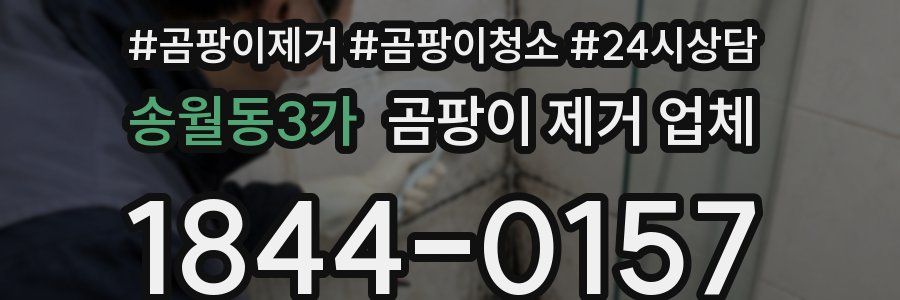 송월동3가 곰팡이 제거 업체