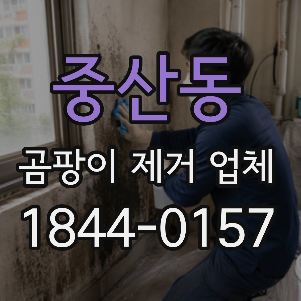 중산동 곰팡이 제거 업체
