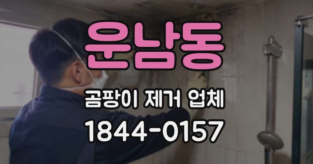 운남동 곰팡이 제거 업체