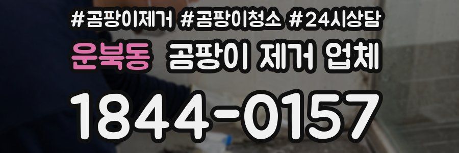 운북동 곰팡이 제거 업체