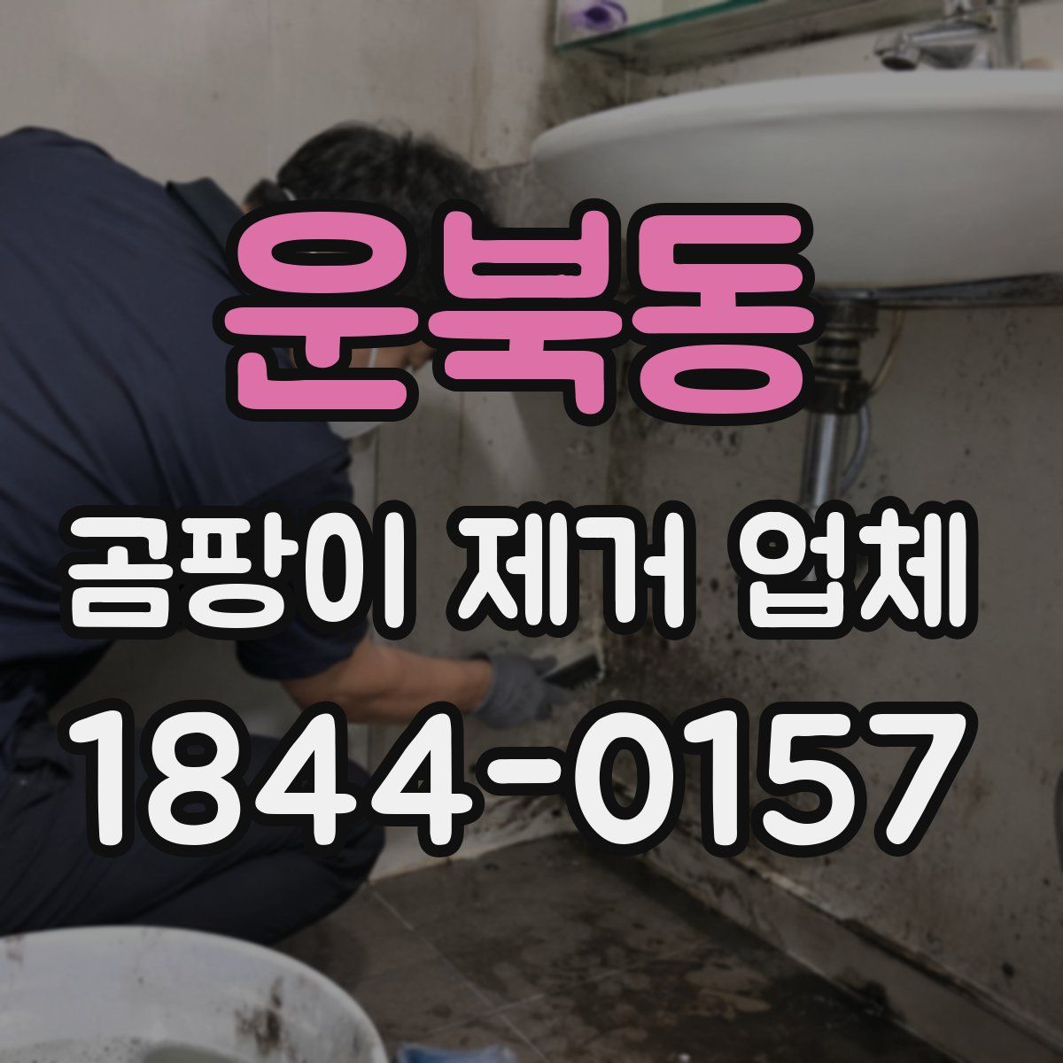 운북동 곰팡이 제거 업체