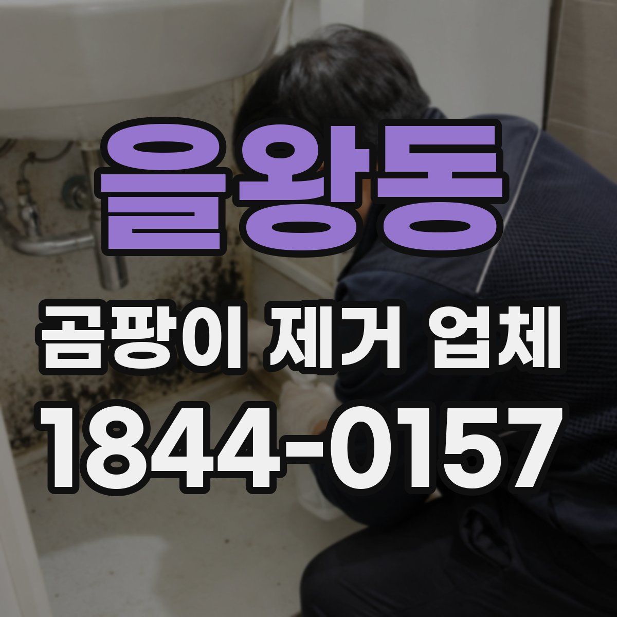 을왕동 곰팡이 제거 업체
