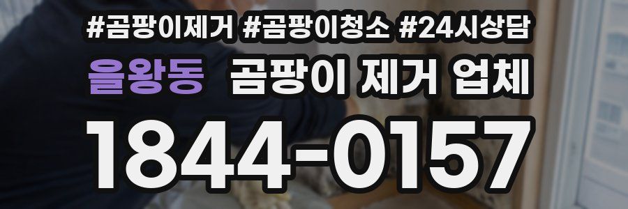 을왕동 곰팡이 제거 업체