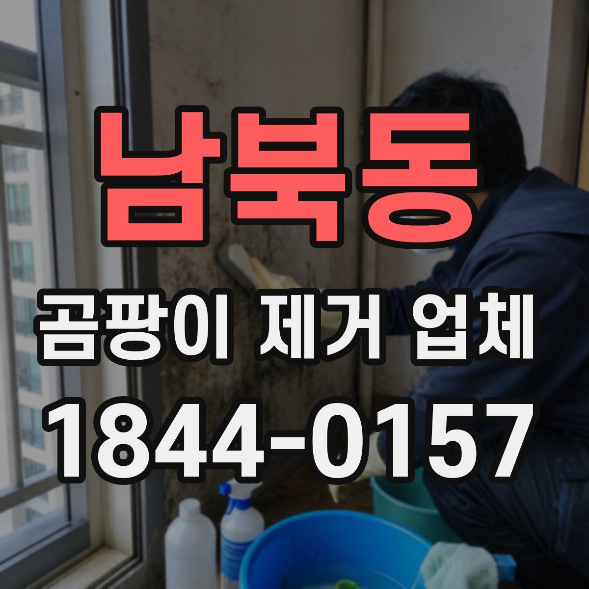 남북동 곰팡이 제거 업체