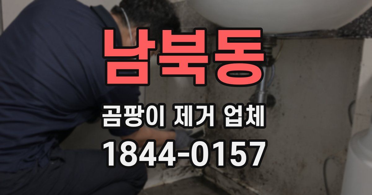 남북동 곰팡이 제거 업체