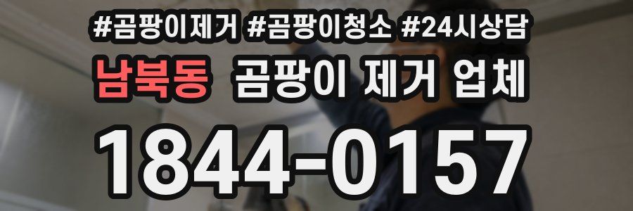 남북동 곰팡이 제거 업체