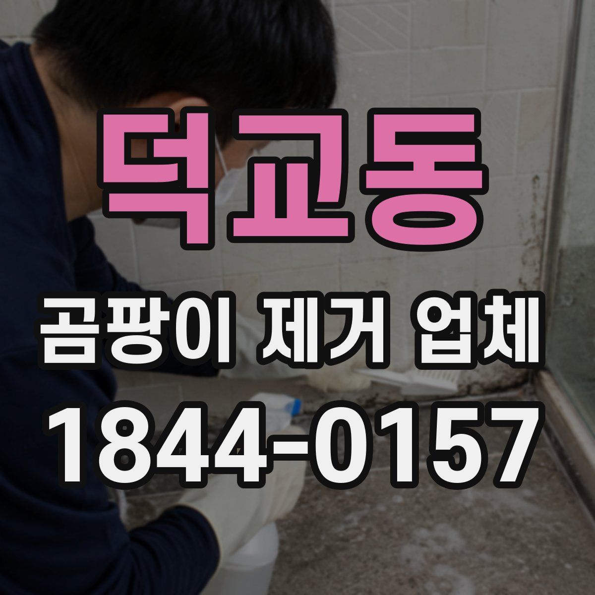 덕교동 곰팡이 제거 업체