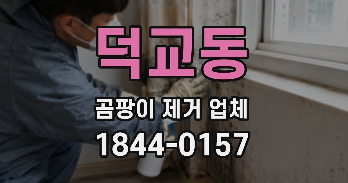 덕교동 곰팡이 제거 업체
