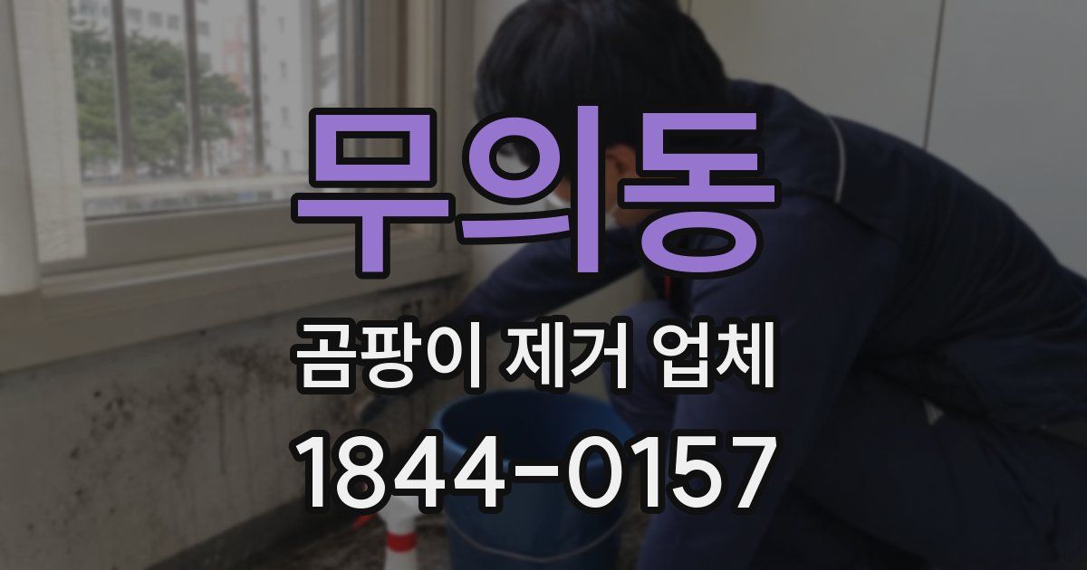 무의동 곰팡이 제거 업체