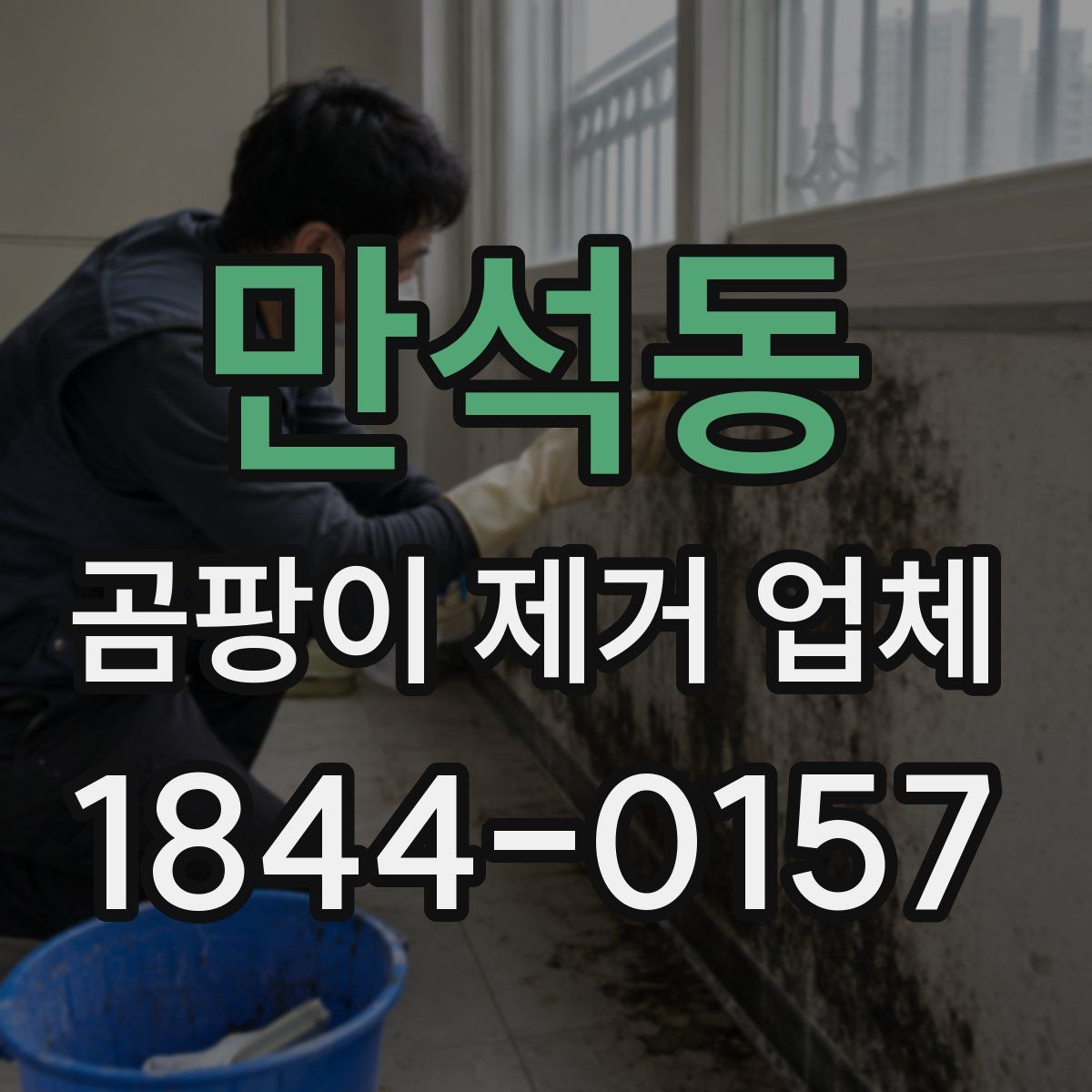 만석동 곰팡이 제거 업체