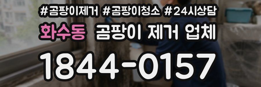 화수동 곰팡이 제거 업체